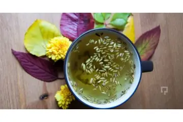 Gaz Giderici Besinler Nelerdir?